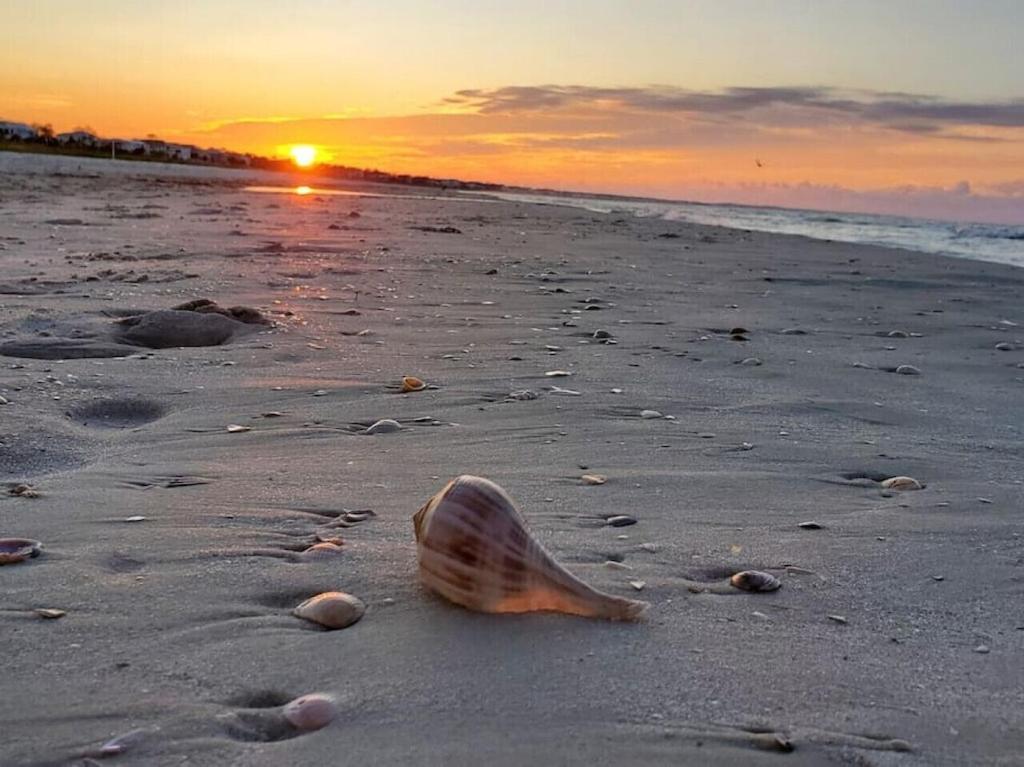 Tortuga Tillys Cape San Blas Экстерьер фото