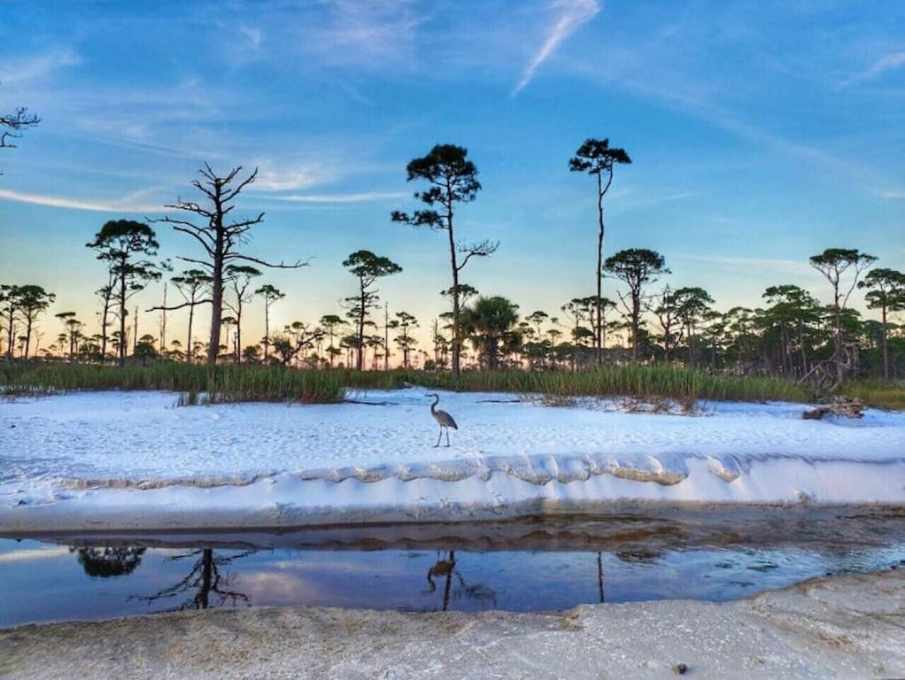 Tortuga Tillys Cape San Blas Экстерьер фото