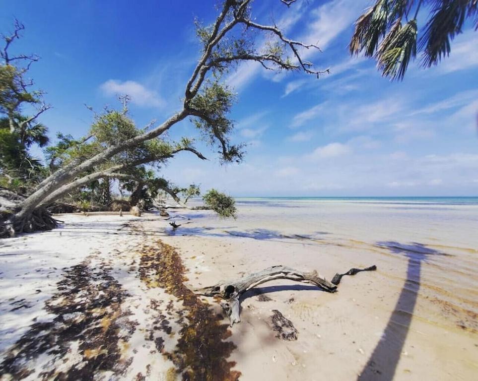 Tortuga Tillys Cape San Blas Экстерьер фото